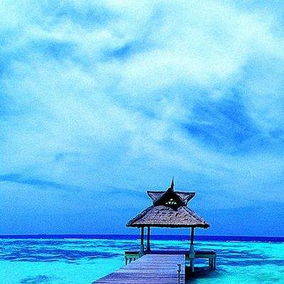 英雄联盟外围平台网址