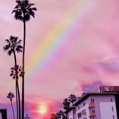 星空体育APP手机app下载