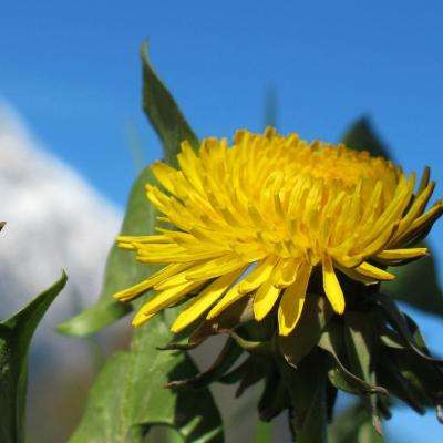 半岛·体育5.0下载