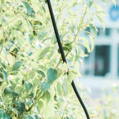 中欧体育app全站